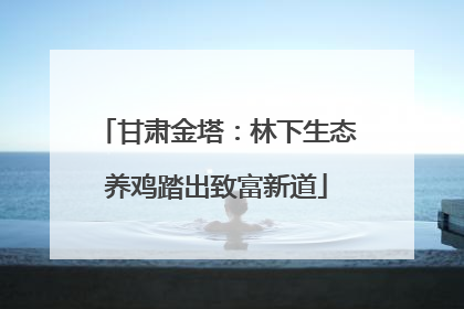 甘肃金塔：林下生态养鸡踏出致富新道